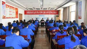 公司举行两化融合管理体系贯标启动会