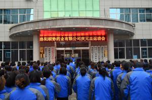 洛阳顺势药业举办庆元旦运动会