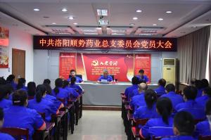 洛阳顺势药业有限公司党总支召开党员大会 会议选举产生新一届总支委员会
