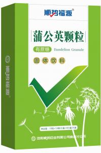 蒲公英颗粒